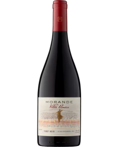 Morande Pinot Noir Vitis Unica 2022