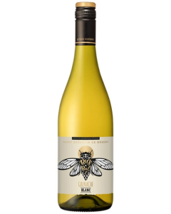 Fonjoya Big Buzz Saint-Guilhem-le-Desert Grenache Blanc 2023