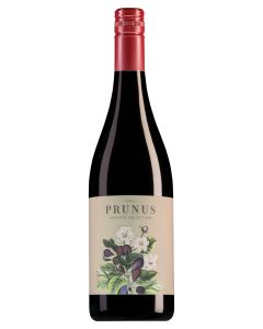 Prunus Dao Tinto 2021