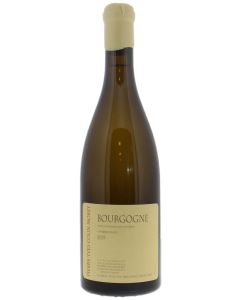 Domaine Pierre-Yves Colin-Morey Bourgogne Chardonnay 2019 