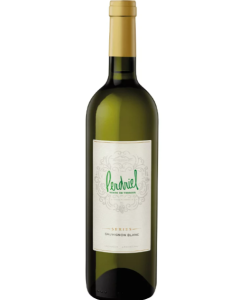 Finca Perdriel Sauvignon Blanc 2023