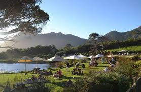 Cape Point Vineyards